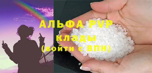 гидра Карпинск
