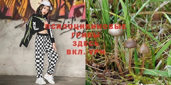 Альфа ПВП Бугульма